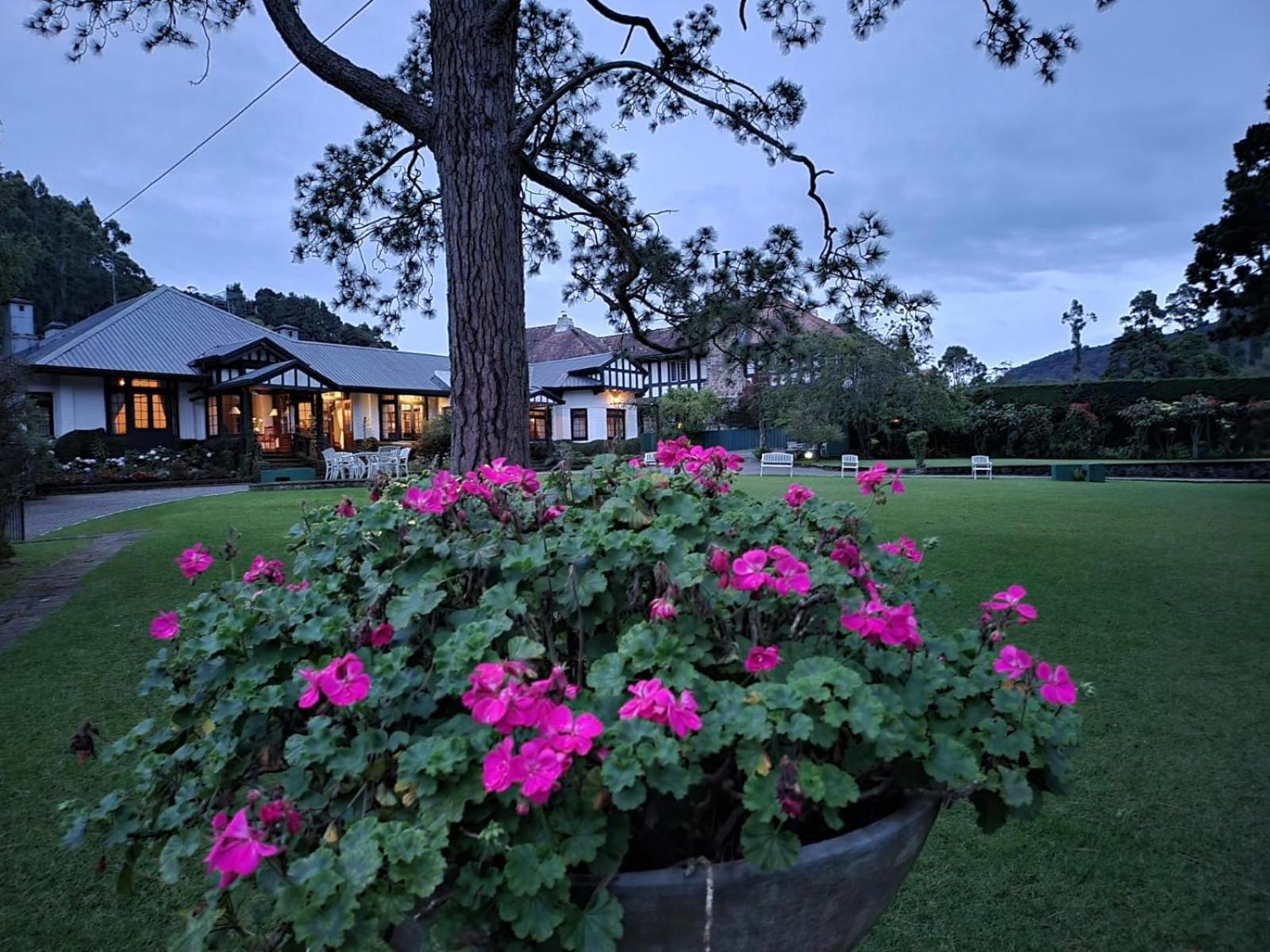 Hill Cottage Nuwara Eliya Exterior foto