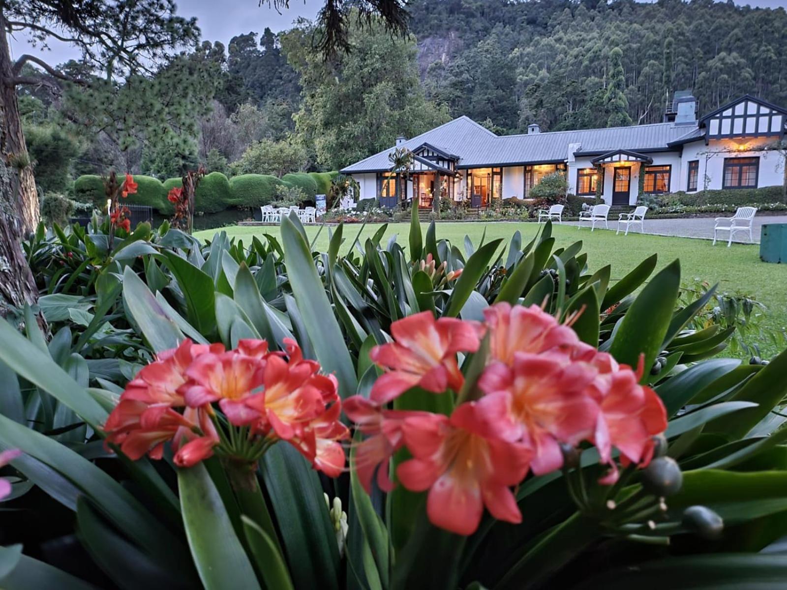 Hill Cottage Nuwara Eliya Exterior foto