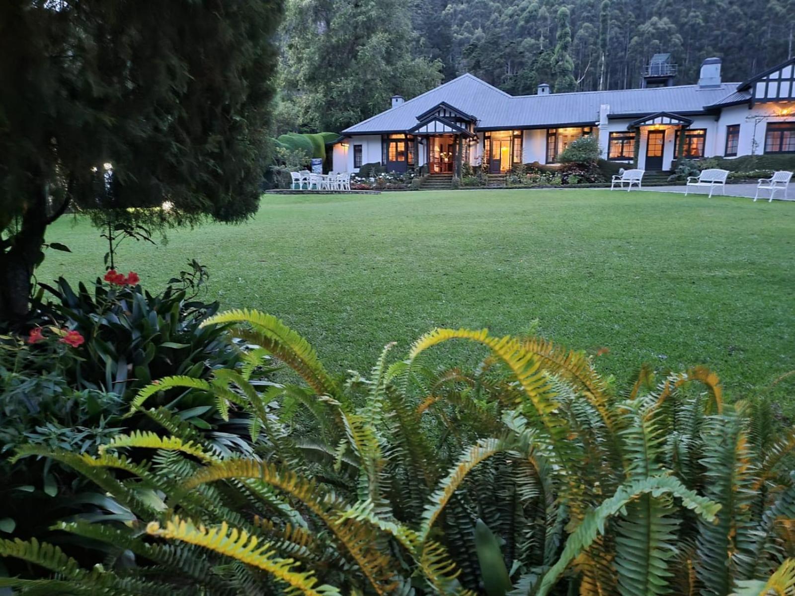 Hill Cottage Nuwara Eliya Exterior foto